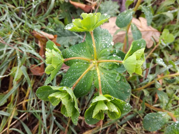 IMG_20171123_131603.jpg (4.36 MiB) Zobrazeno 623 x IMG_20171123_131603.jpg