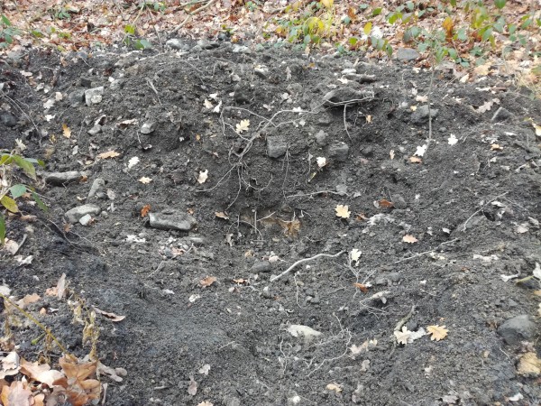 IMG_20171127_125218.jpg (6.99 MiB) Zobrazeno 2266 x IMG_20171127_125218.jpg